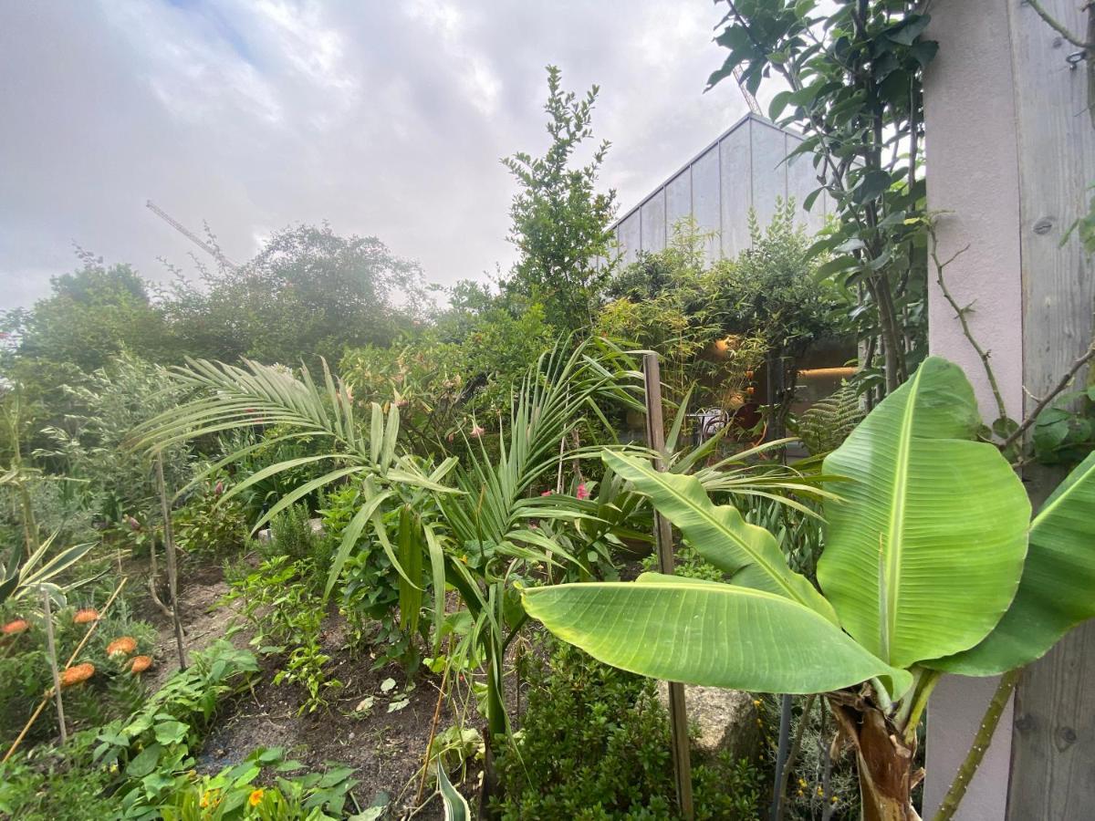 Koko Garden Apartment Porto Buitenkant foto